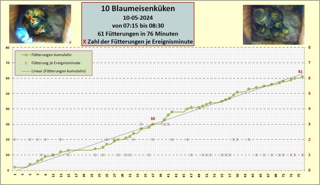 Zählung 10-05-2024 Grafik-plusplus.jpg