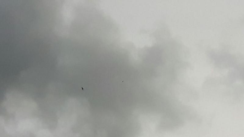 IMG-20180428-WA0014.jpg