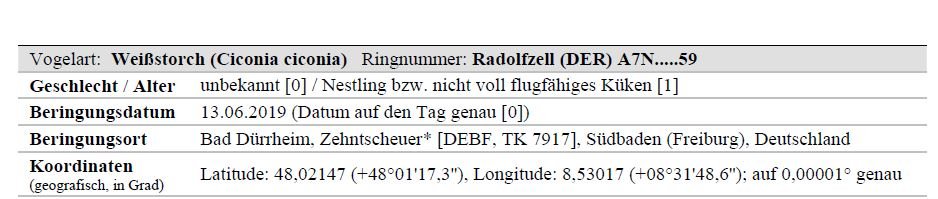 storchendame tuttlingen - Kopie.JPG