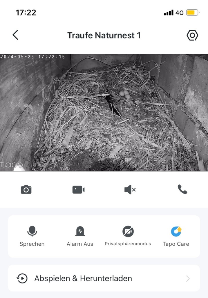 3. Ei im Traufekasten 1