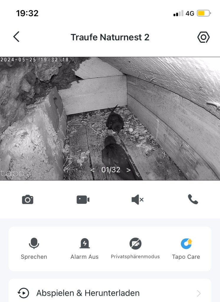 Rollei Traufekasten 2