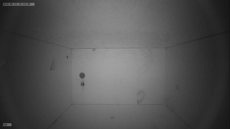 cam1_1526073225662.jpg