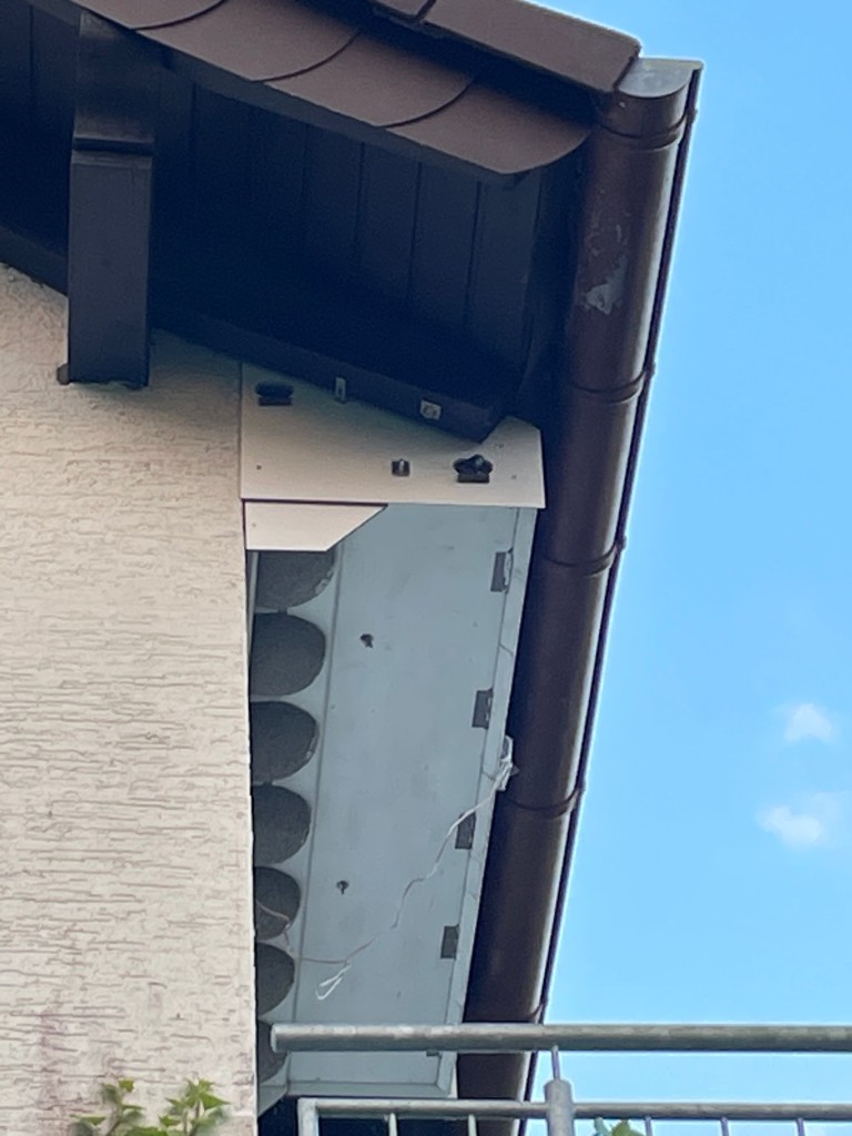 Lautsprecher vorne mittig,unten links ,fliegt neuer Segler aus .Zweite Neuansiedlung.