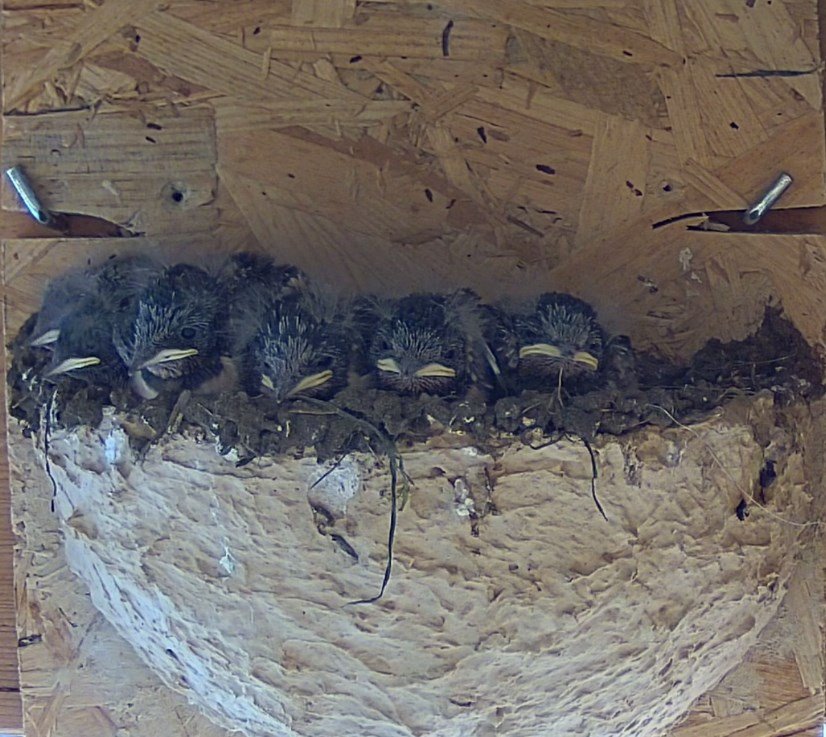 2024-06-11_13h26_07.jpg