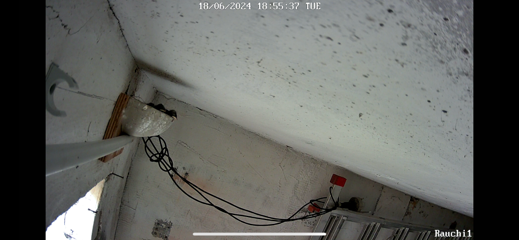 IMG_2339[1].PNG