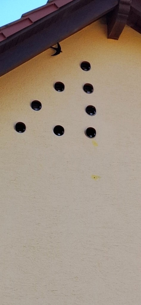 20240713_184511.jpg