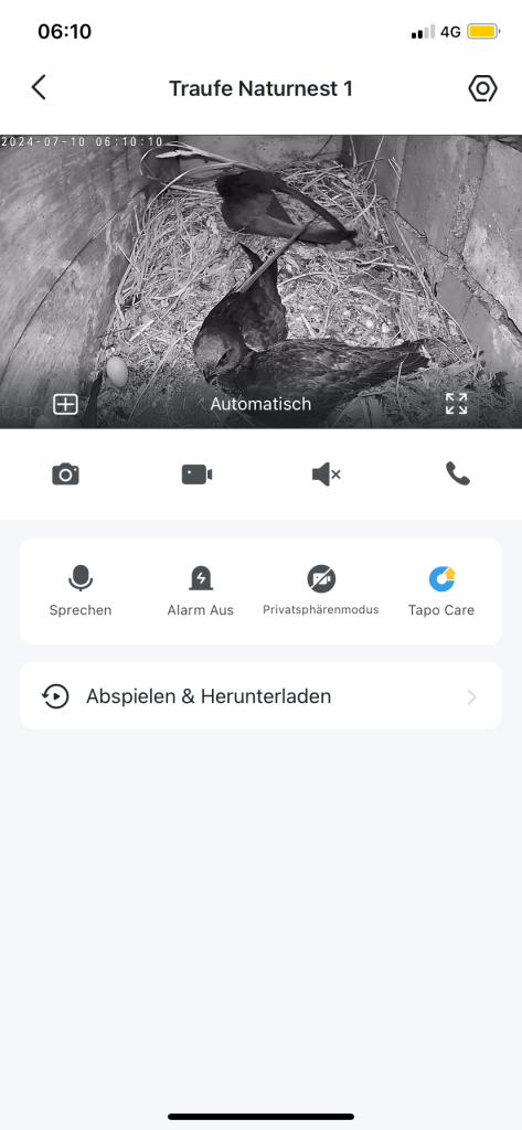 am 10. Juli 2024 kurz nach 6 Uhr