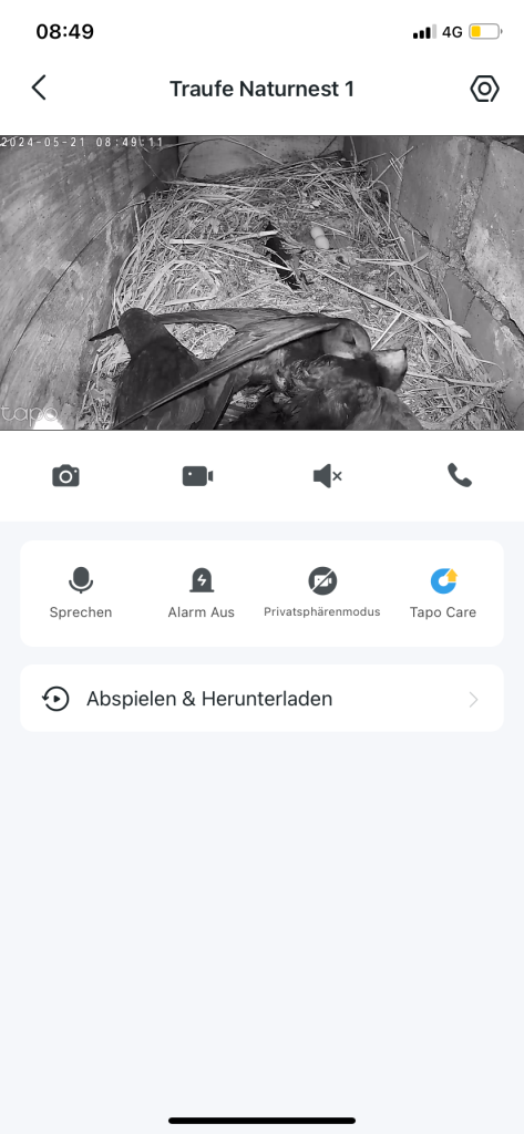 Kampf am 21.05.