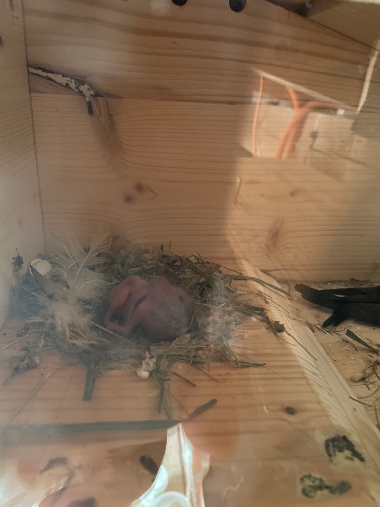 Hier die Jüngsten noch mit den LF.