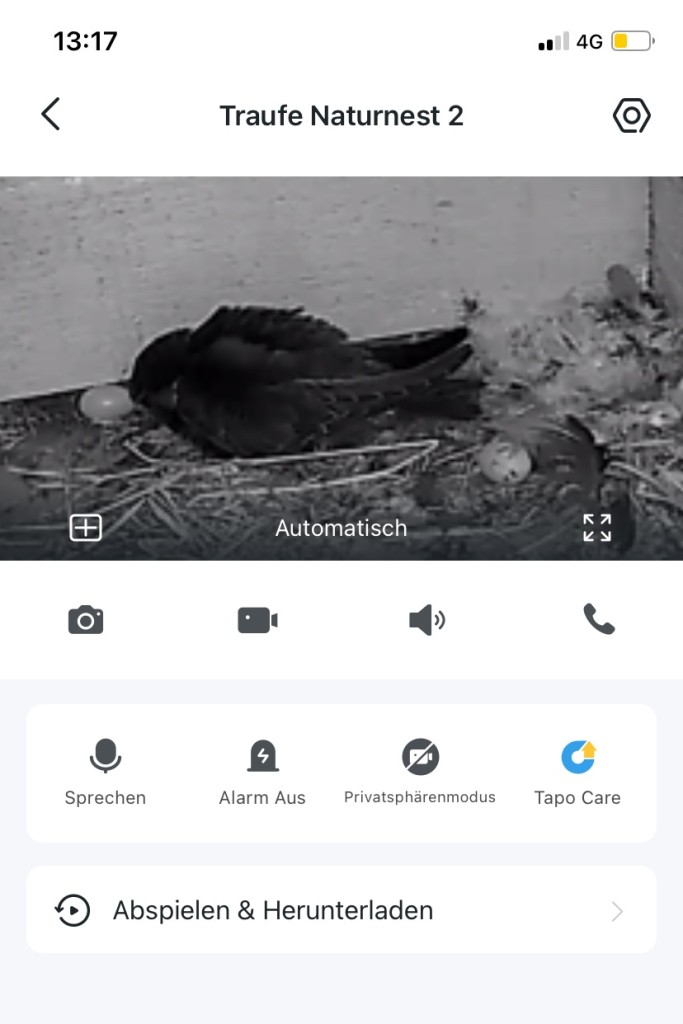 JV heute in Traufeeinflug 2