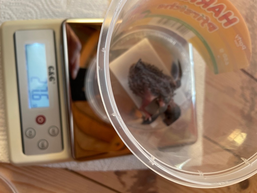 E00D0AB6-D10F-40E4-8791-B022FFB6AA53.jpeg