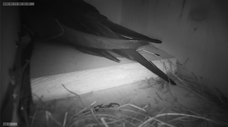 Kastenpaar an der heizung.PNG