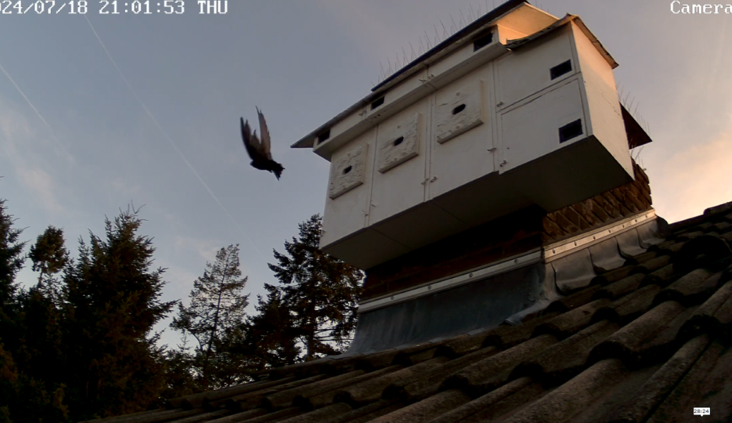 Screenshot (8647) (Mittel).png