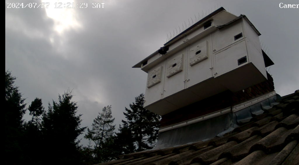 Screenshot (9211) (Mittel).png