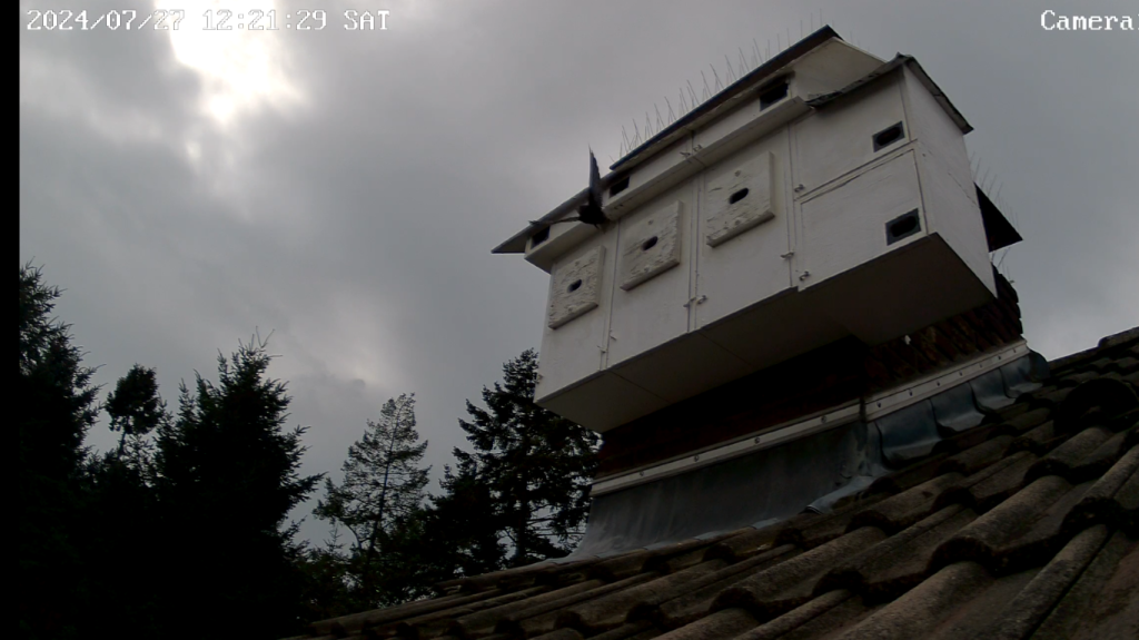 Screenshot (9215) (Mittel).png