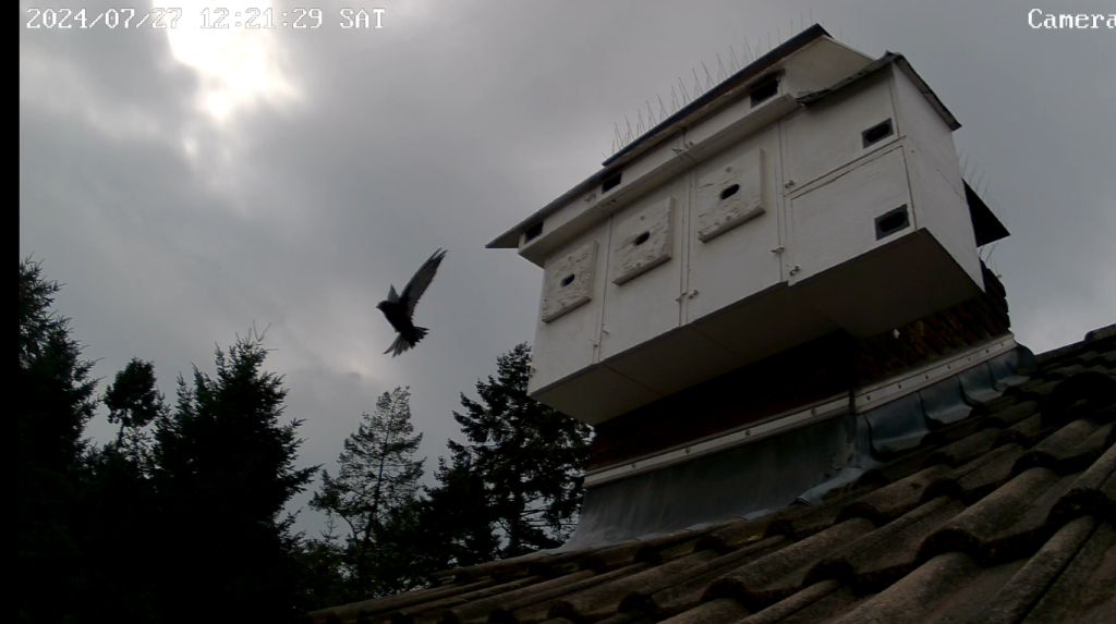 Screenshot (9221) (Mittel).png