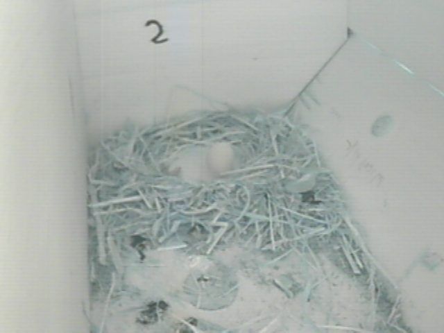 yoics 0_2018-05-24_190512.jpg