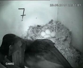 kkmoon 2_2018-05-26_215841.jpg