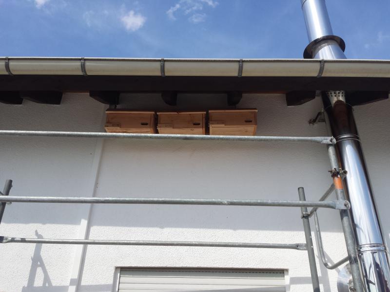 2018-05-26 16.38.45.jpg