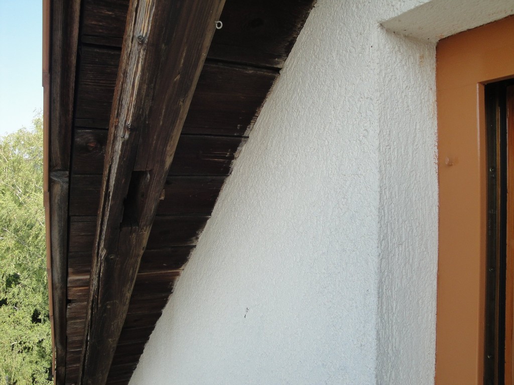 Bilder Nordgiebel 11.JPG
