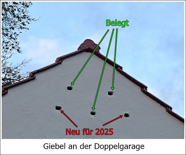20241128_154940-2.jpg