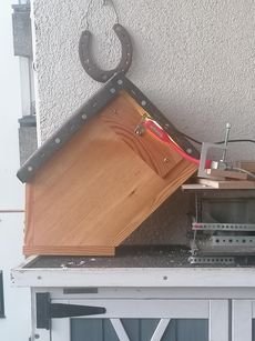 Testbild_2025-min.jpg