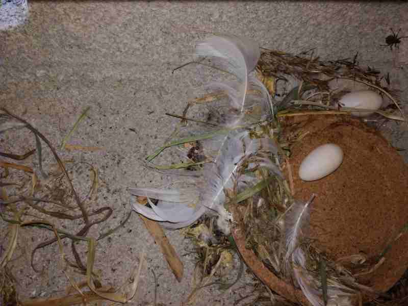 Kullerei - vorher.jpg