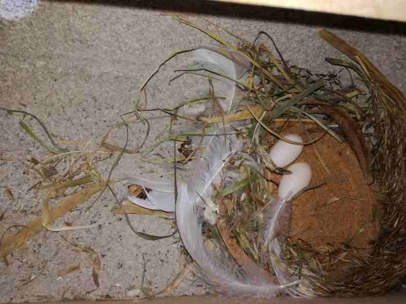 Kullerei - nachher.jpg