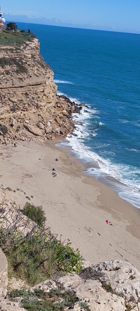Leucate
