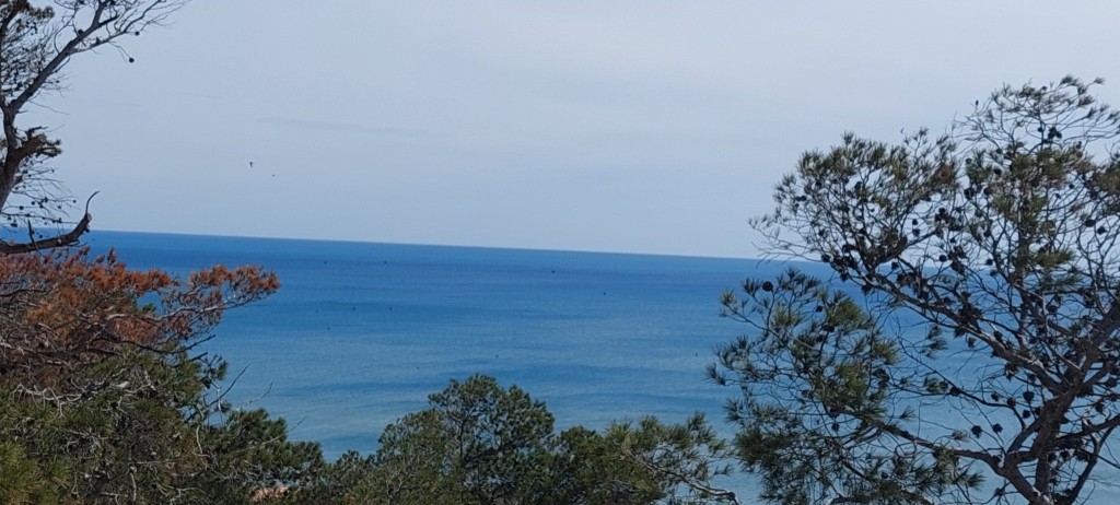 Blick nach Osten