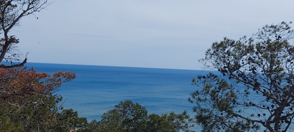 Blick nach Osten