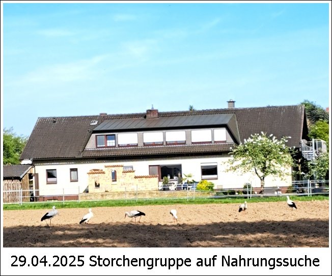 20250429_175020-1.jpg