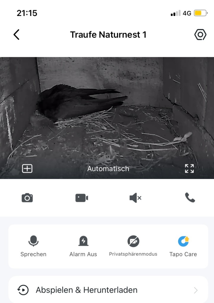 Traufkasten 1