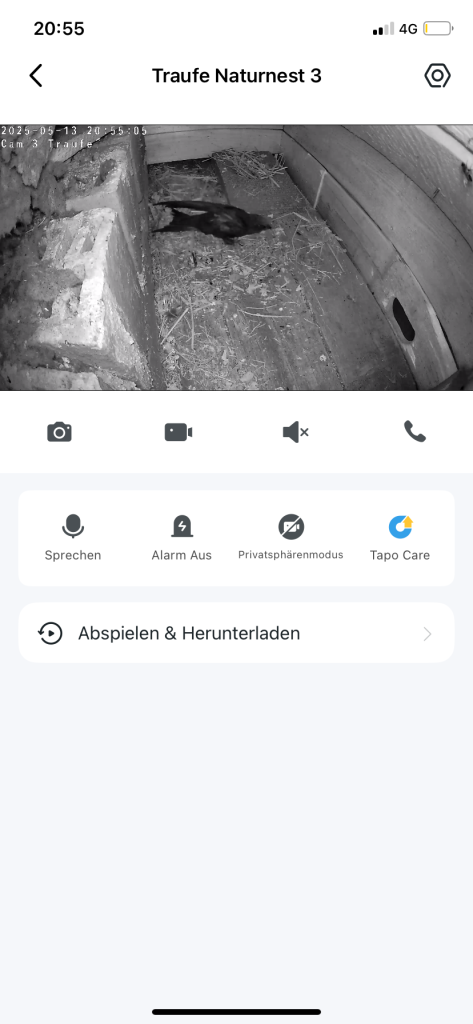 Erster Einflug Traufekasten 3