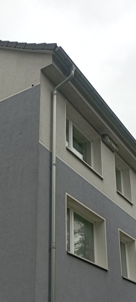 1000094496.jpg