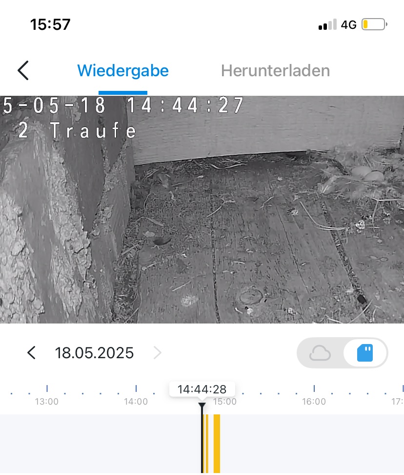 2 Eier in Traufeinflug 2