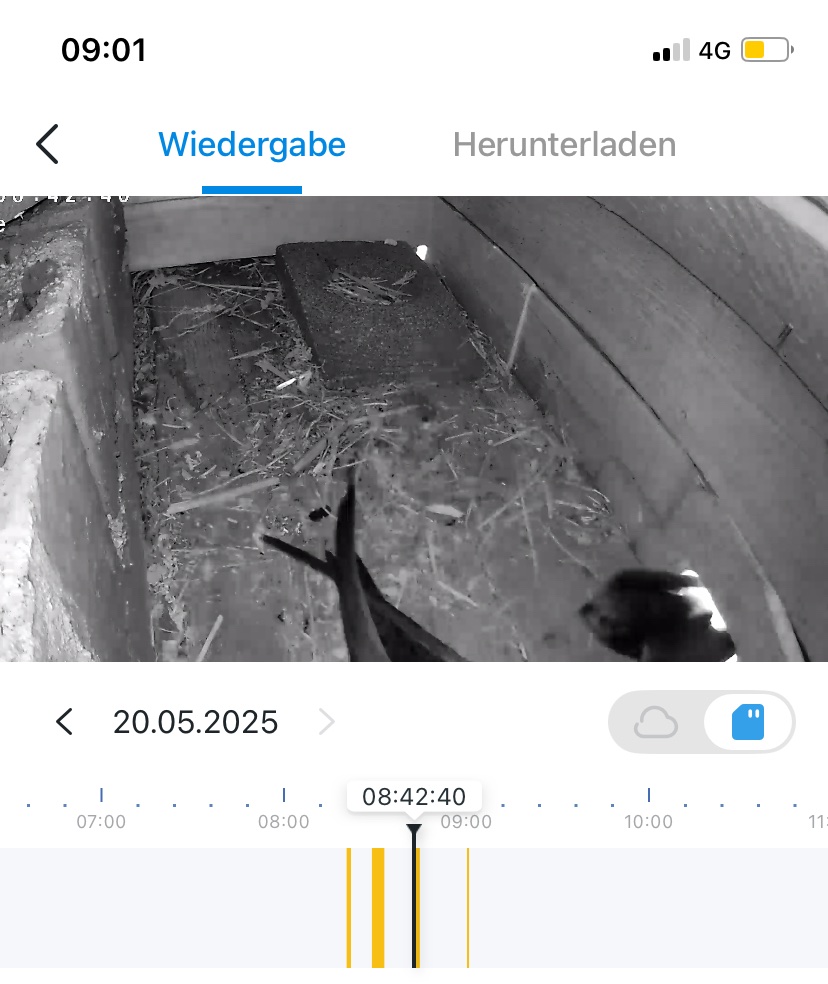 Einflug Traufeeinflug 3 hintereinander