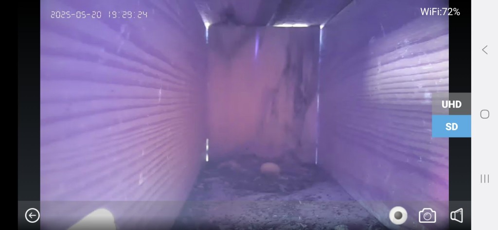 Screenshot_20250520_192928_WIWA CAM.jpg