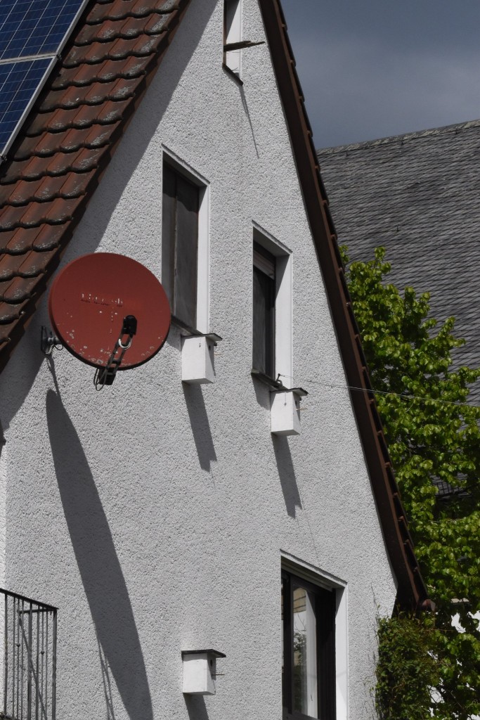 DSC_0166.JPG (808.71 KiB) 259 mal betrachtet Die Ostseite, eigentlich für Stare gedacht. im unteren Kasten befand sich in diesem Jahr die erste Starenbrut, im letzten Jahr aber auch schon ein VP.