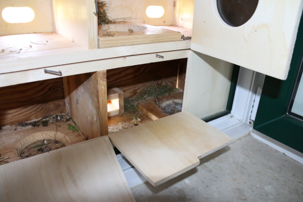 Rückwand mit Kontrollklappen