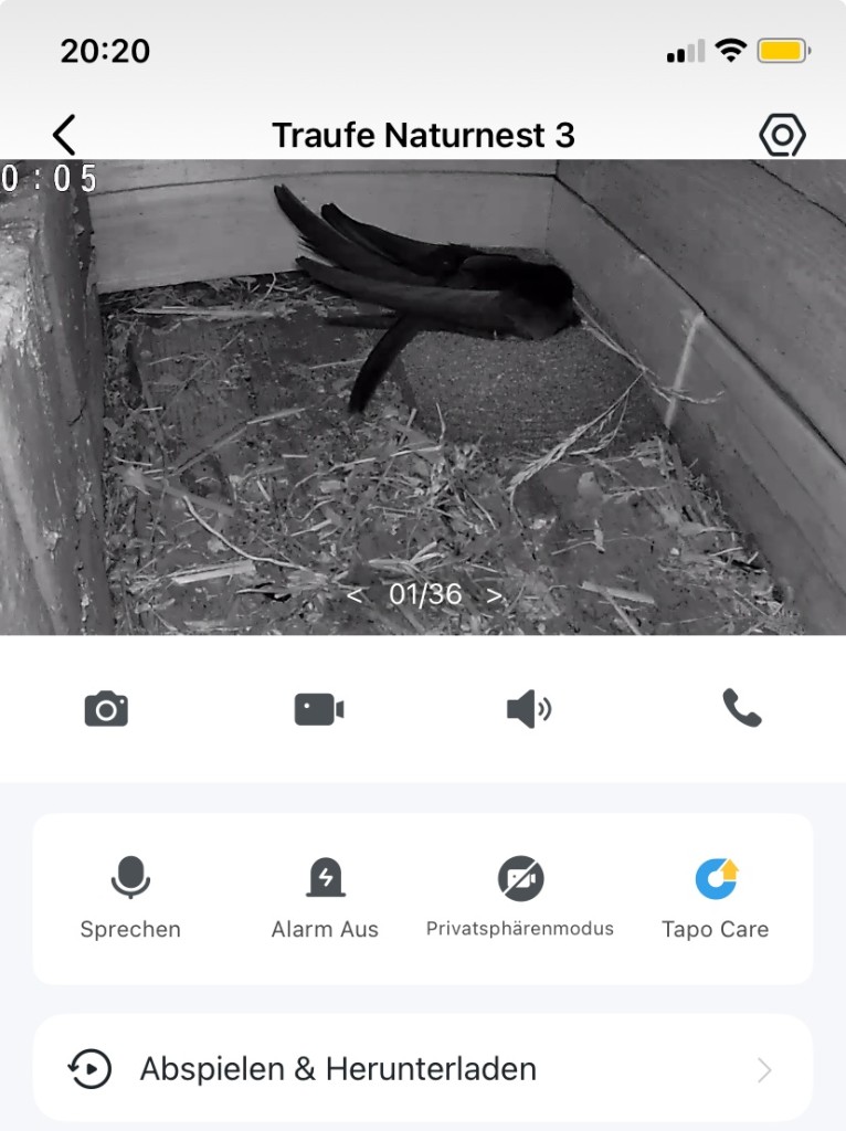 VP Traufeeinflug 3