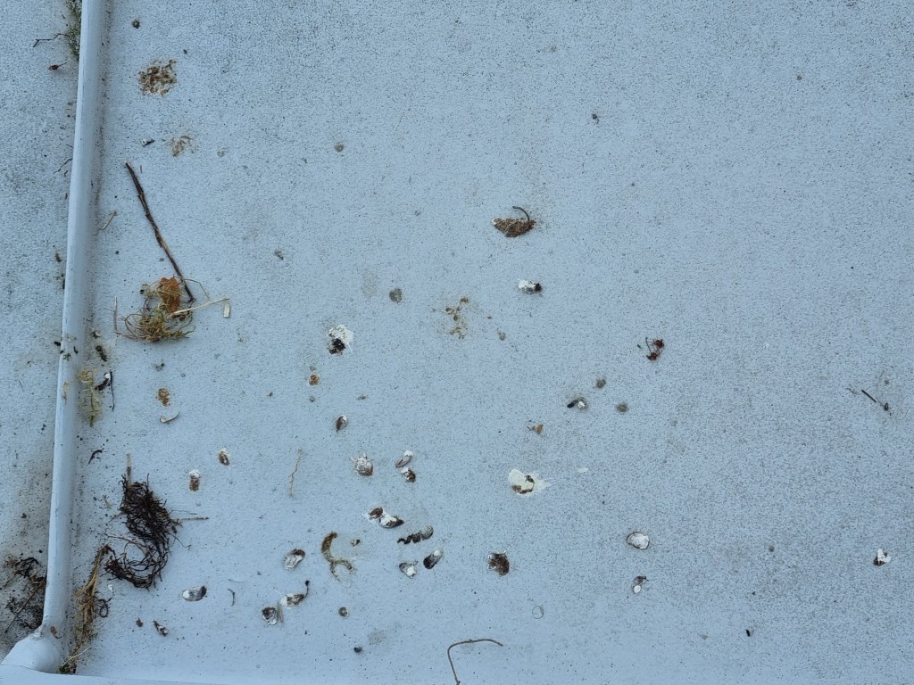 20250604_150215.jpg