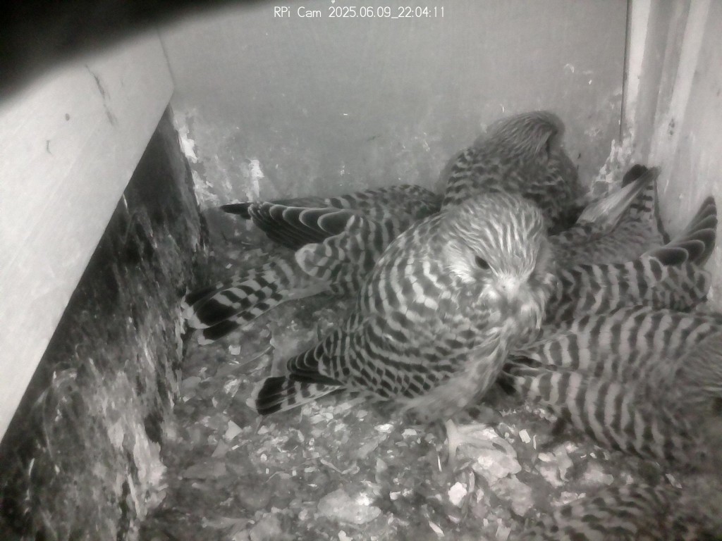 noch alle an Bord!