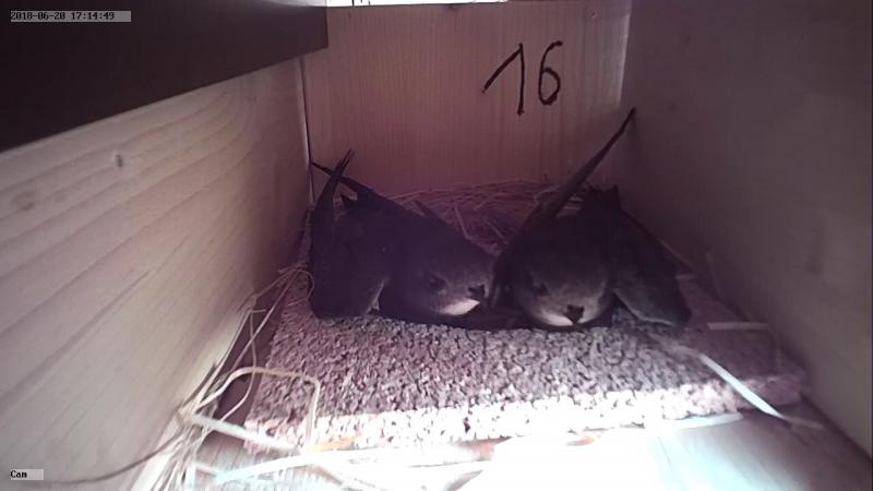 2018-06-20 18.15.17.jpg