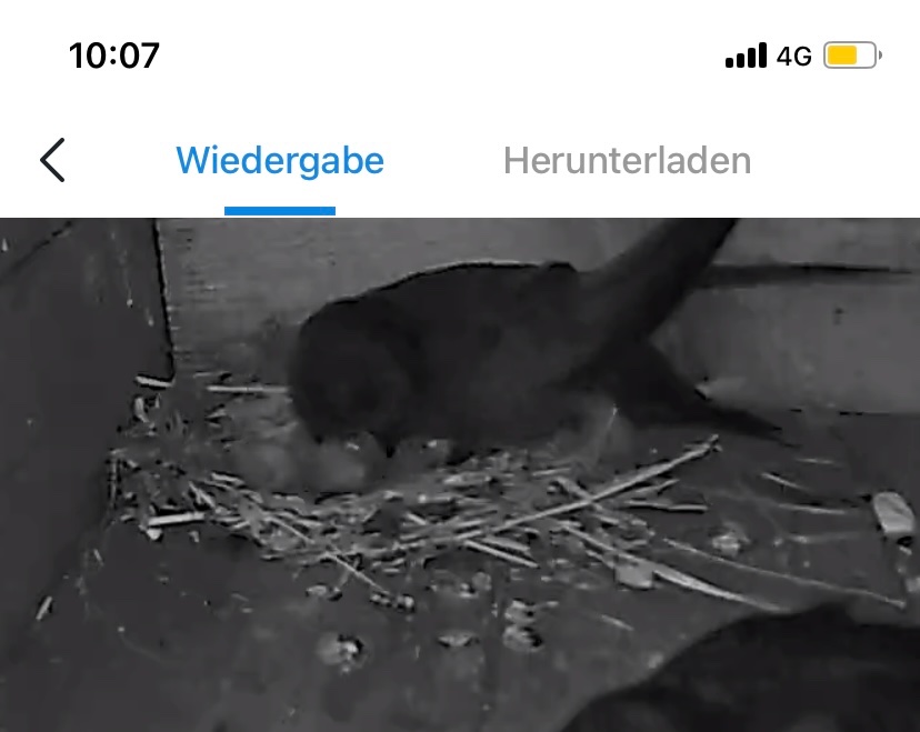 Einflug 1 mit 2 JV