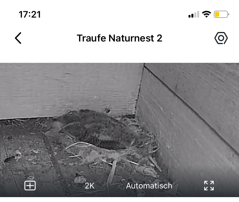 Einflug 2 mit 2 JV
