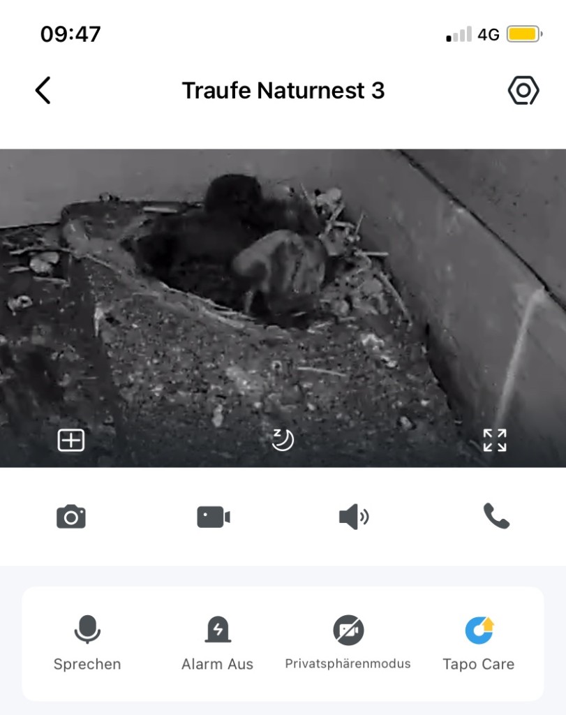 Aktuelle Aufnahme 11.07.2025