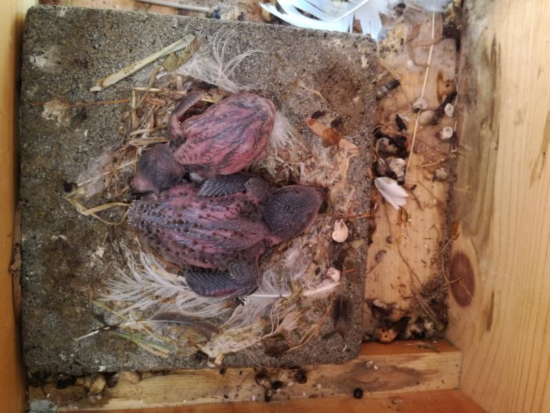 wiedervereint (1).jpg