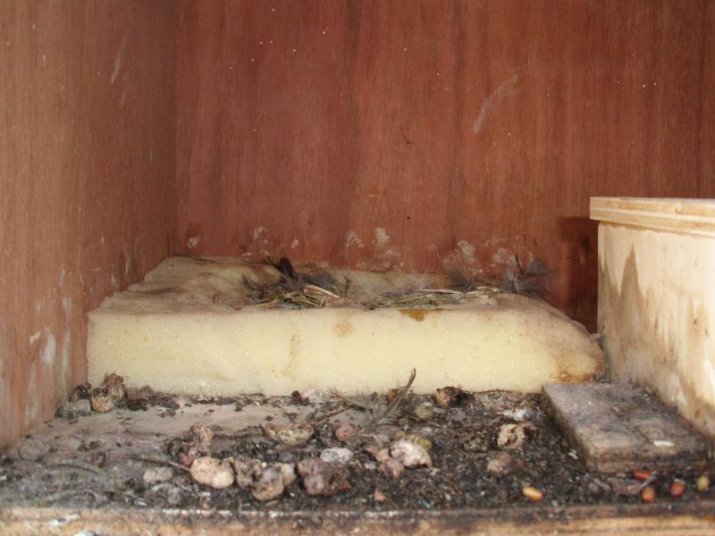 Nach dem Ausflug 1.JPG