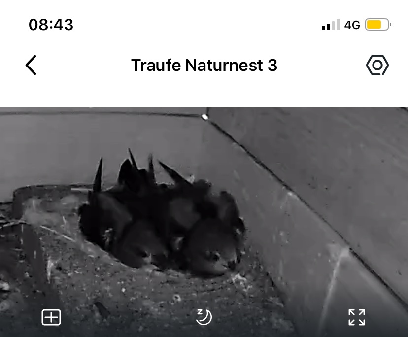 Einflug 3